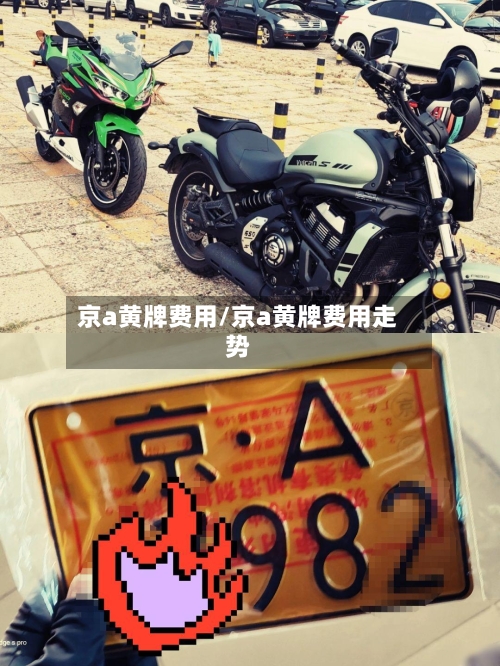 京a黄牌费用/京a黄牌费用走势