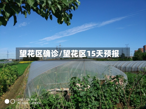 望花区确诊/望花区15天预报