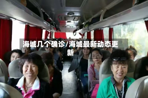 海城几个确诊/海城最新动态更新