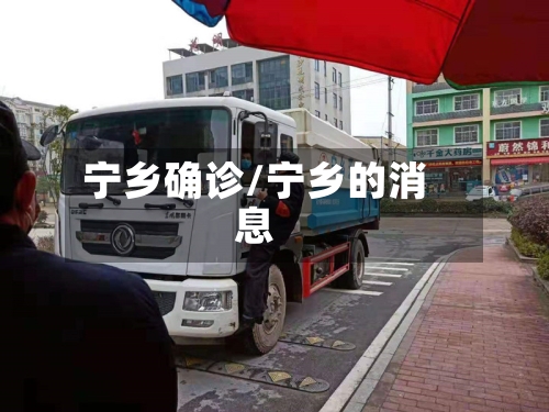 宁乡确诊/宁乡的消息-第2张图片