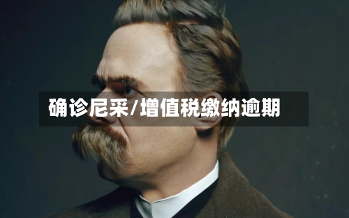 确诊尼采/增值税缴纳逾期-第2张图片