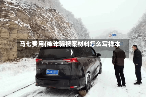 马七费用(被诈骗报案材料怎么写样本)