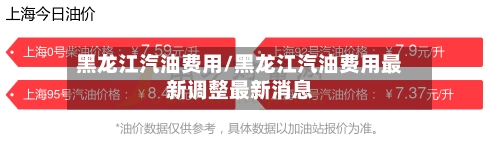 黑龙江汽油费用/黑龙江汽油费用最新调整最新消息