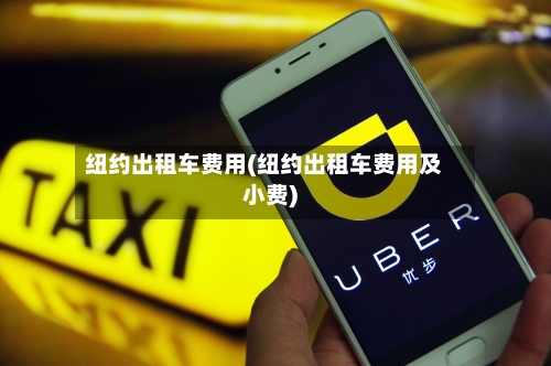 纽约出租车费用(纽约出租车费用及小费)