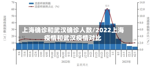 上海确诊和武汉确诊人数/2022上海疫情和武汉疫情对比