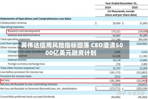 英伟达信用风险指标回落 CEO澄清5000亿美元融资计划-第2张图片