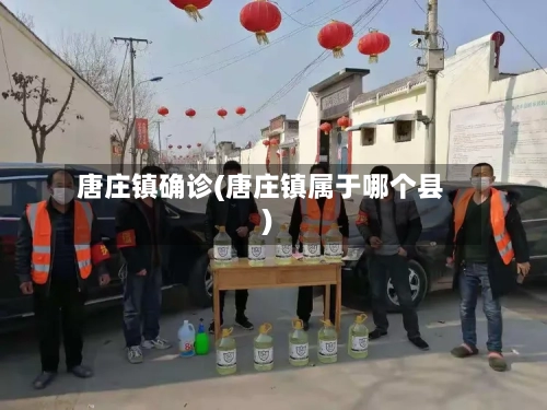 唐庄镇确诊(唐庄镇属于哪个县)-第2张图片