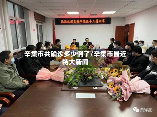 辛集市共确诊多少例了/辛集市最近特大新闻