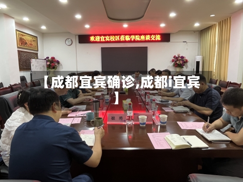 【成都宜宾确诊,成都i宜宾】-第3张图片