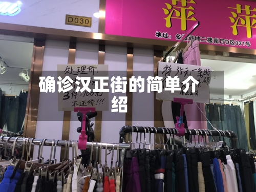 确诊汉正街的简单介绍