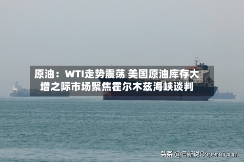 原油：WTI走势震荡 美国原油库存大增之际市场聚焦霍尔木兹海峡谈判-第3张图片