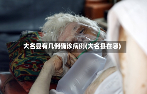 大名县有几例确诊病例(大名县在哪)