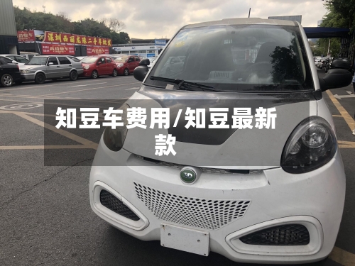 知豆车费用/知豆最新款-第2张图片