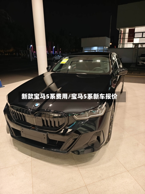 新款宝马5系费用/宝马5系新车报价-第2张图片