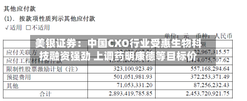 美银证券：中国CXO行业受惠生物科技融资强劲 上调药明康德等目标价-第2张图片