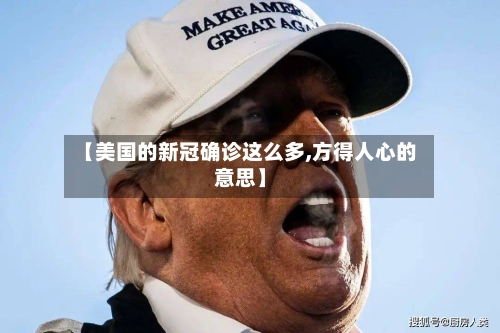 【美国的新冠确诊这么多,方得人心的意思】-第3张图片