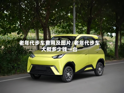 老年代步车费用及图片/老年代步车大概多少钱一台-第2张图片