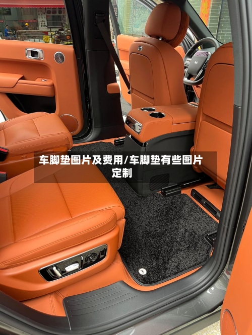 车脚垫图片及费用/车脚垫有些图片 定制