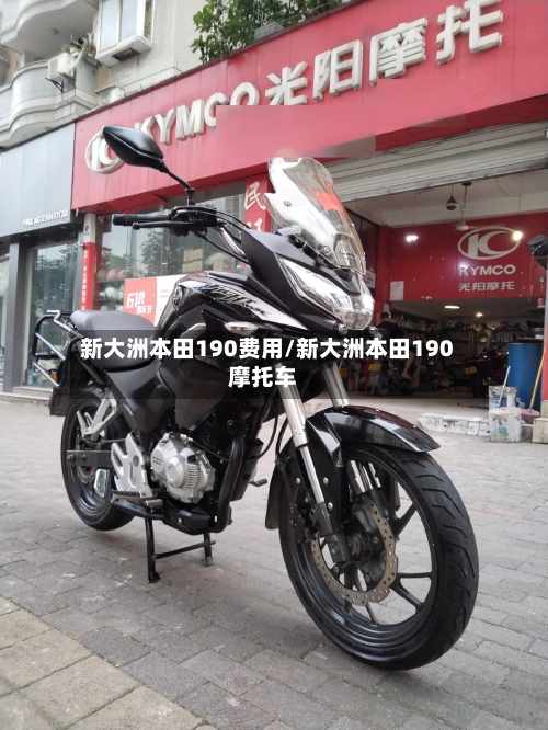 新大洲本田190费用/新大洲本田190摩托车-第2张图片