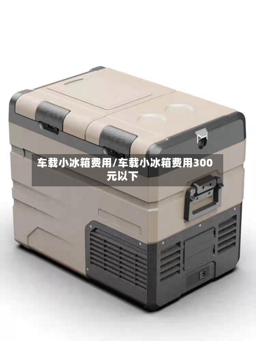 车载小冰箱费用/车载小冰箱费用300元以下-第3张图片