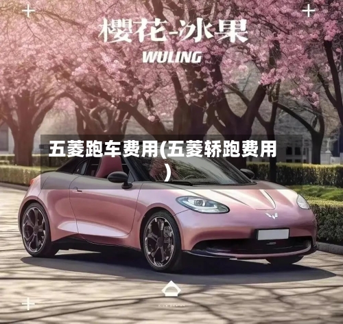 五菱跑车费用(五菱轿跑费用)