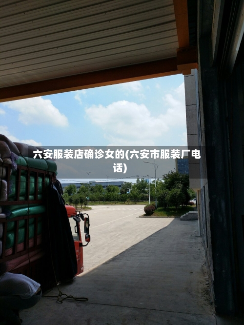 六安服装店确诊女的(六安市服装厂电话)-第2张图片