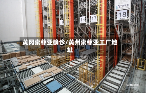 黄冈索菲亚确诊/黄州索菲亚工厂地址-第3张图片