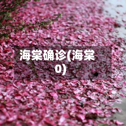 海棠确诊(海棠0)-第3张图片