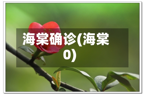 海棠确诊(海棠0)