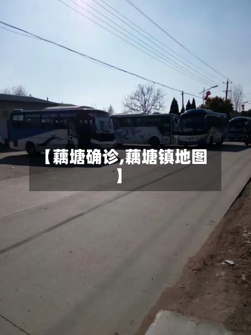 【藕塘确诊,藕塘镇地图】-第3张图片