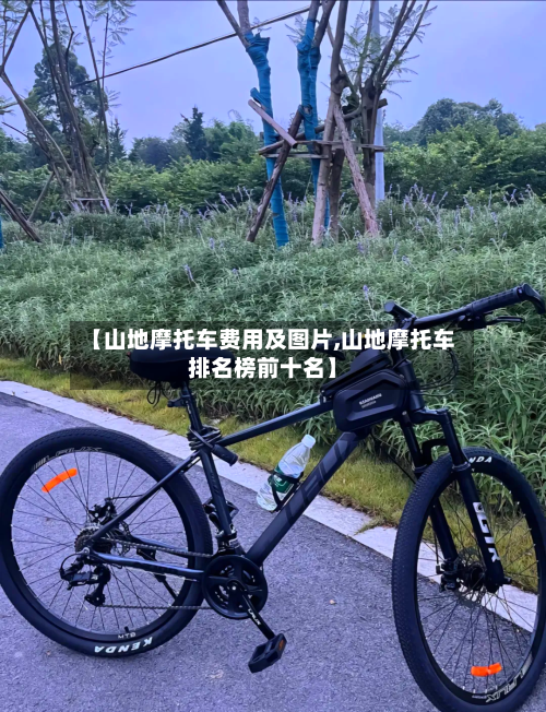 【山地摩托车费用及图片,山地摩托车排名榜前十名】