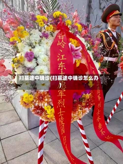 扫墓途中确诊(扫墓途中确诊怎么办)
