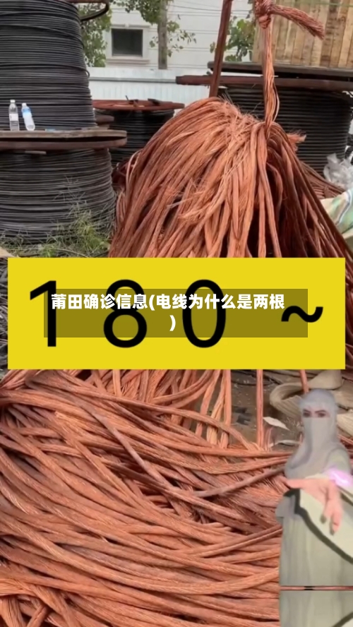 莆田确诊信息(电线为什么是两根)-第3张图片