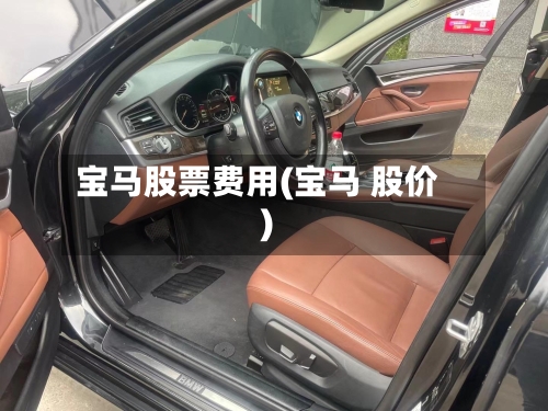 宝马股票费用(宝马 股价)-第2张图片