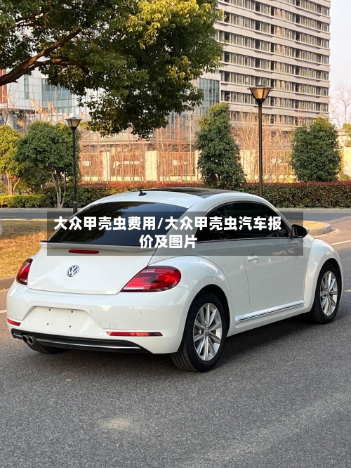 大众甲壳虫费用/大众甲壳虫汽车报价及图片-第2张图片