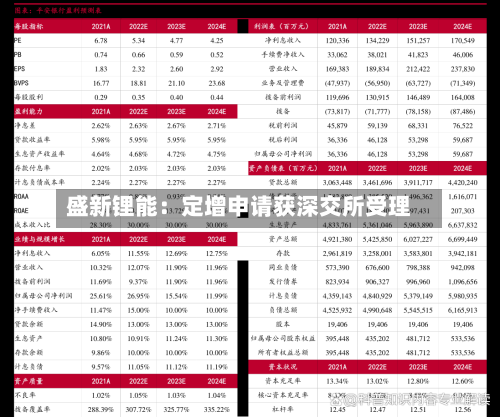 盛新锂能：定增申请获深交所受理-第2张图片