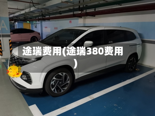 途瑞费用(途瑞380费用)-第3张图片