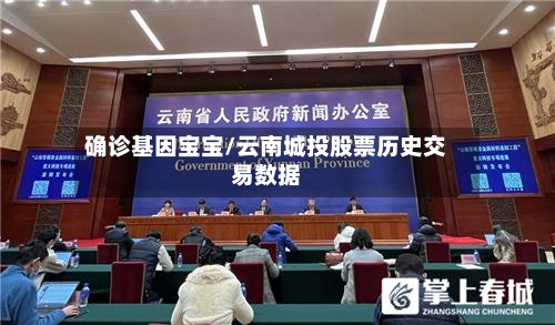 确诊基因宝宝/云南城投股票历史交易数据