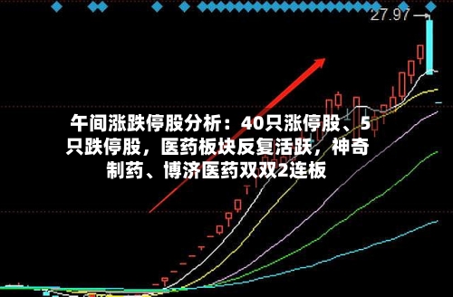 午间涨跌停股分析：40只涨停股、5只跌停股，医药板块反复活跃，神奇制药、博济医药双双2连板
