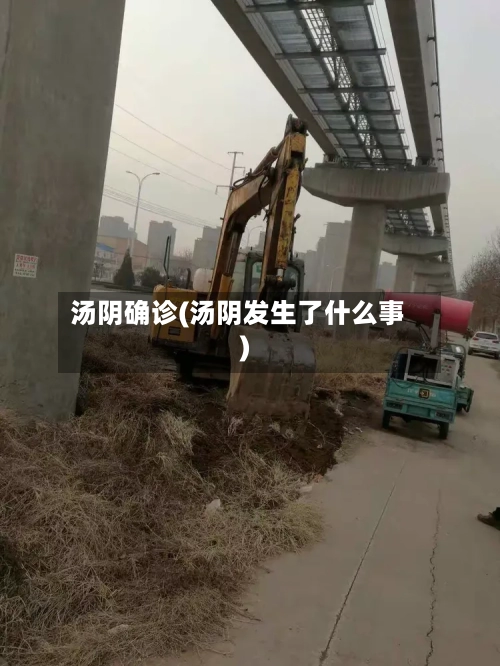 汤阴确诊(汤阴发生了什么事)-第2张图片