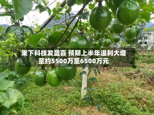 果下科技发盈喜 预期上半年溢利大增至约5500万至6500万元-第3张图片