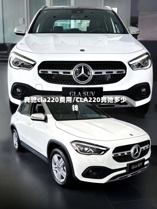 奔驰cla220费用/CLA220奔弛多少钱-第3张图片
