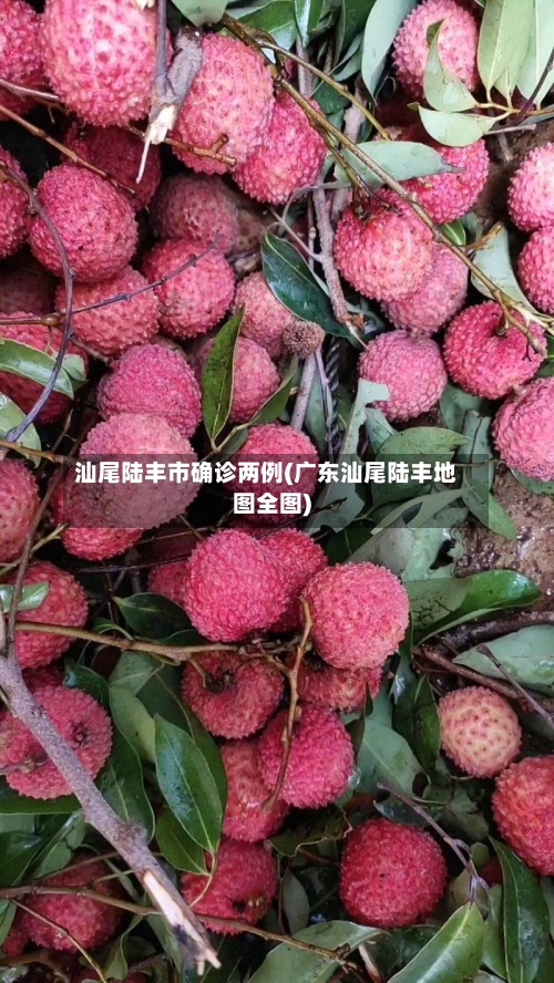 汕尾陆丰市确诊两例(广东汕尾陆丰地图全图)