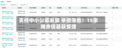 支持中小公募发展 举措落地！15家摊余债基获受理-第2张图片