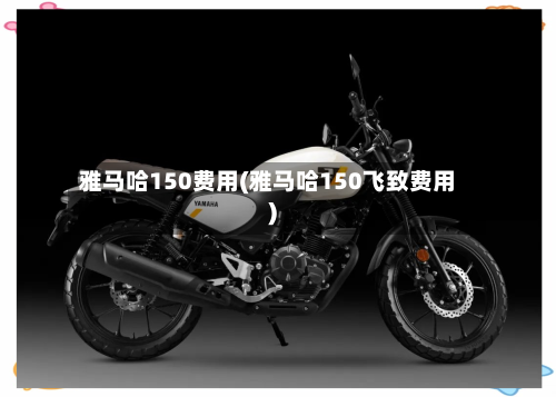 雅马哈150费用(雅马哈150飞致费用)