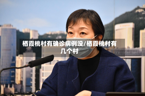 栖霞桃村有确诊病例没/栖霞桃村有几个村