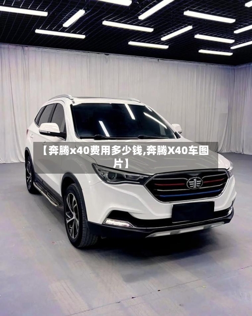 【奔腾x40费用多少钱,奔腾X40车图片】