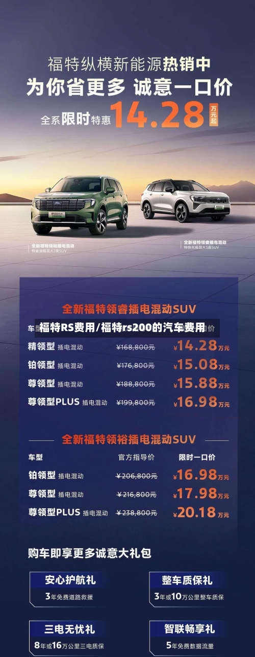 福特RS费用/福特rs200的汽车费用-第3张图片