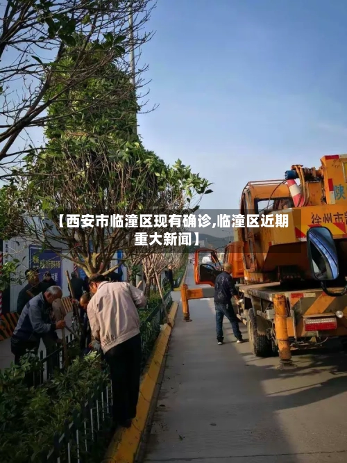 【西安市临潼区现有确诊,临潼区近期重大新闻】-第2张图片