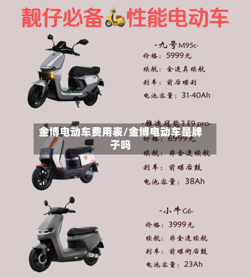 金博电动车费用表/金博电动车是牌子吗-第3张图片